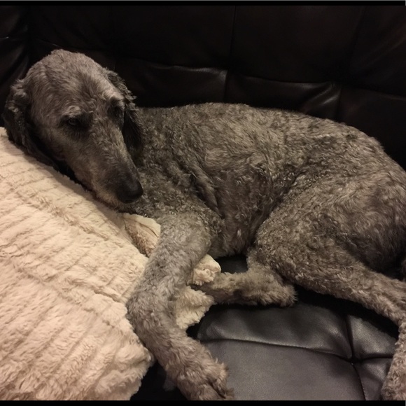 Meet your Posher, Leisa - Picture 1 of 1